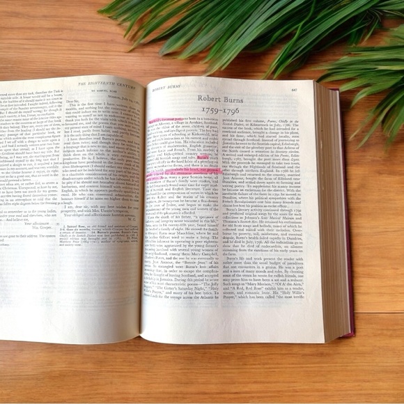 VINTAGE The College Survey of English Literature - Revised Shorter Edition - Picture 12 of 14